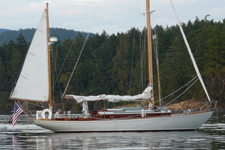 Vintage Concordia #51 Vintage