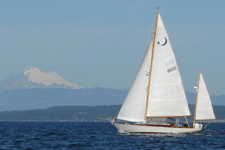 Vintage Concordia #51 Vintage