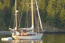 Vintage Concordia #51 Vintage