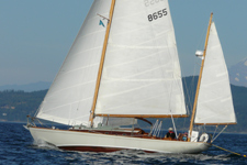 Vintage Concordia #51 Vintage