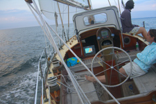 Concordia #52 Taliesin