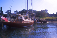 Treetops Pier Concordia #52 Taliesin