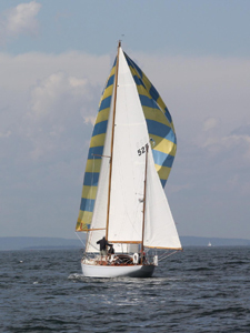 Javelin Concordia #57 Javelin