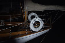 Concordia #59 Snow Bird