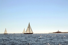 Concordia #59 Snow Bird