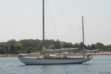 Snow Bird Concordia #59 Snow Bird