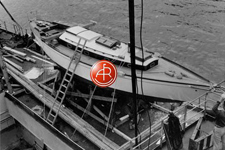 A&R 5365 Concordia #63 Sonnet