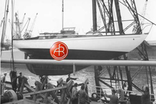 A&R 5366 Concordia #64 Live Yankee