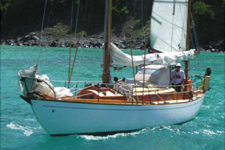 Golondrina Concordia #65 Golondrina