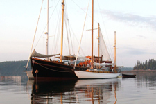 Misty and Little Vigilant Concordia #66 Misty