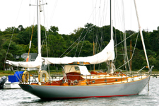 Crocodile Concordia #67 Crocodile