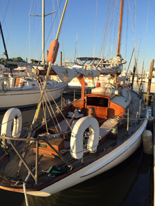 Concordia #71 Polaris