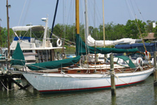 Concordia #71 Polaris