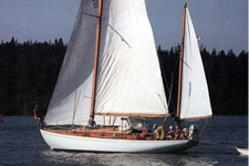 Concordia #74 Wizard