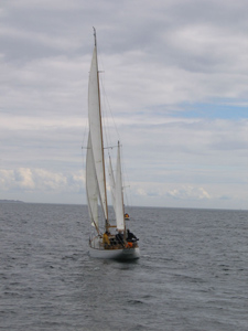 Concordia #76 Sumatra