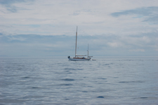 Concordia #76 Sumatra