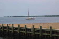 Concordia #80 Goldeneye