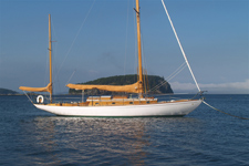 Concordia #80 Goldeneye