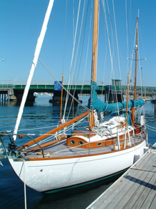 Concordia #81 Envolee