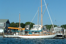 Concordia #81 Envolee