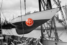 A&R 5579 Concordia #81 Envolee