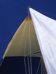 Starsight Spinnaker Concordia #82 Coriolis