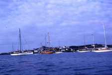 Starsight Cuttyhunk Yacht Basin Concordia #82 Coriolis