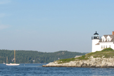 Snow Falcon Concordia #84 Snow Falcon