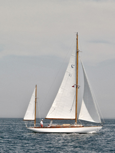 Concordia #91 Snowy Owl