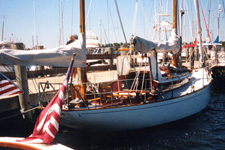 Concordia #91 Snowy Owl