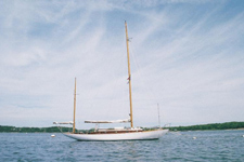 Concordia #91 Snowy Owl