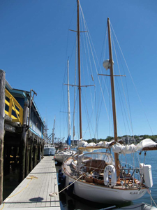 Eagle Concordia #92 Eagle