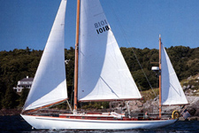 Concordia #101 Sea Hawk