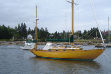 Concordia #94 Katrina