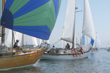 Katrina Concordia #94 Katrina