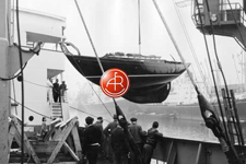 A&R 5977 Concordia #95 Diablo