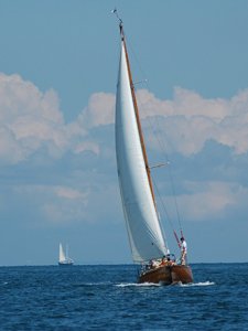 Concordia #96 Whimbrel