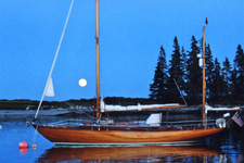 Whimbrel Concordia #96 Whimbrel