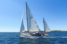 Tambourine Concordia #97 Summer Wind