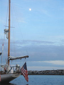 Concordia #100 Captiva