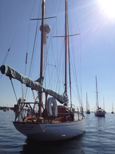 Concordia #100 Captiva