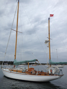 Concordia #100 Captiva