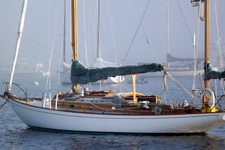 Concordia #100 Captiva