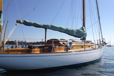 Concordia #100 Captiva