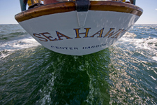 Sea Hawk Concordia #101 Sea Hawk