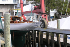 Abaco Concordia #102 Abaco