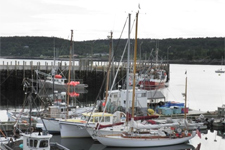 Abaco Concordia #102 Abaco