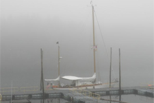 Abaco Concordia #102 Abaco